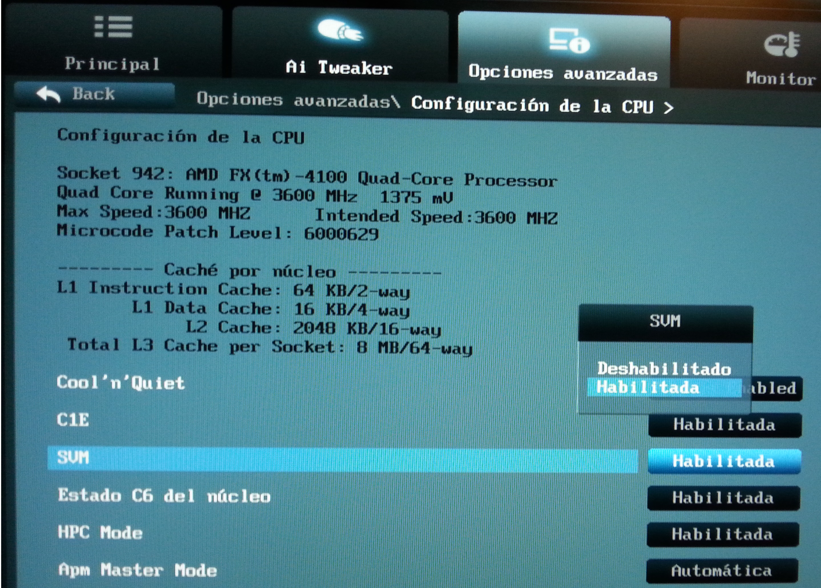 Haga clic en la imagen para ver una versión más grande

Nombre:	SVM en AMD.jpg
Visitas:	104
Size:	1,80 MB
ID:	206641