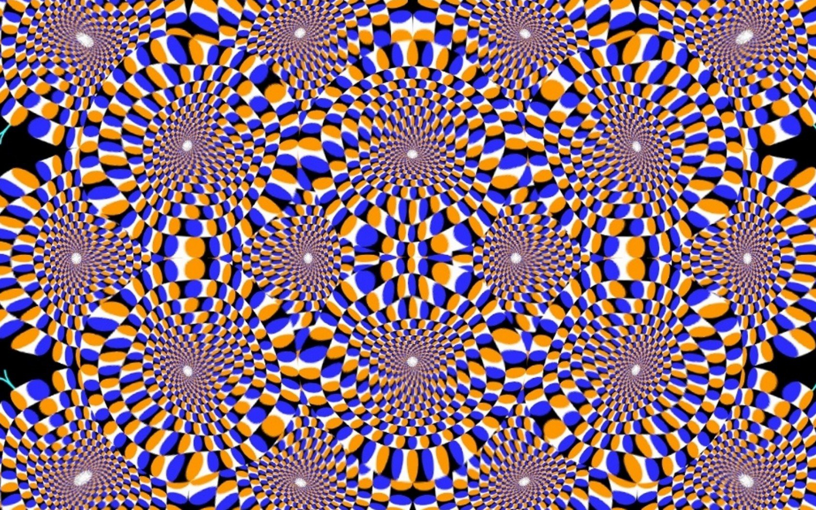 Haga clic en la imagen para ver una versión más grande

Nombre:	DHNTtutXYAAFLjH.jpg
Visitas:	376
Size:	1,35 MB
ID:	215134