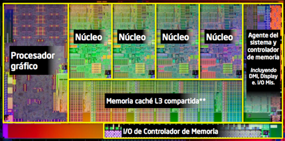 Las diferentes partes del procesador