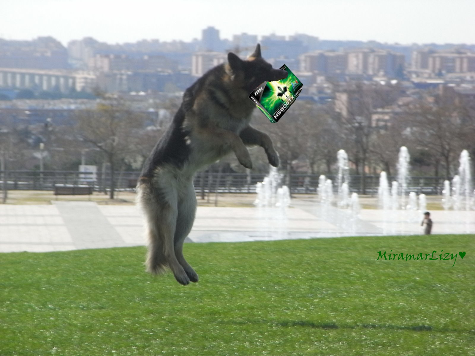 Haga clic en la imagen para ver una versión más grande

Nombre:	hasta los perros saltan por cojerla.jpg
Visitas:	1
Size:	692,1 KB
ID:	173566
